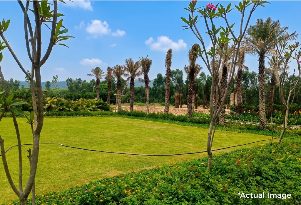 AVACASA by Lumora Estates, garden lawn: actual image supplied by the developer
